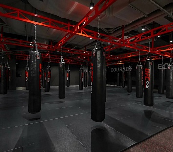Лагерь для взрослых Upgrade Your Body совместно с UFC Gym Russia 